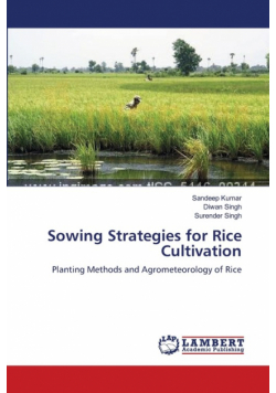Sowing Strategies for Rice Cultivation