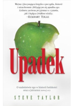 Upadek - Steve Taylor