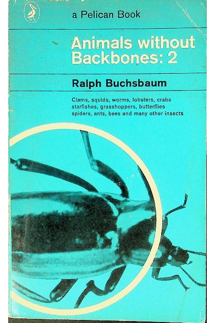 Animals without backbones 2 - Ralph Buchsbaum | książka w   książki promocje, używane książki, nowości wydawnicze